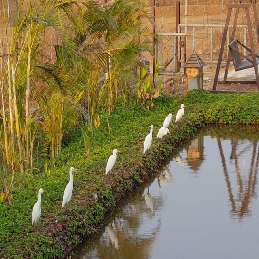 Exotica Beach Retreats Diveagar Exterior photo